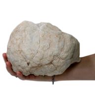 Calciet Geodes - Geopend - 15-18 cm