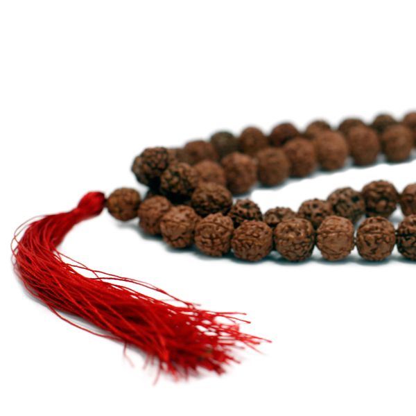 108 Rudraksha Mala - Bruin