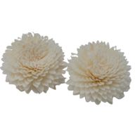 Natuurlijke Diffuser Bloemen - Large - Anjer aan Touw