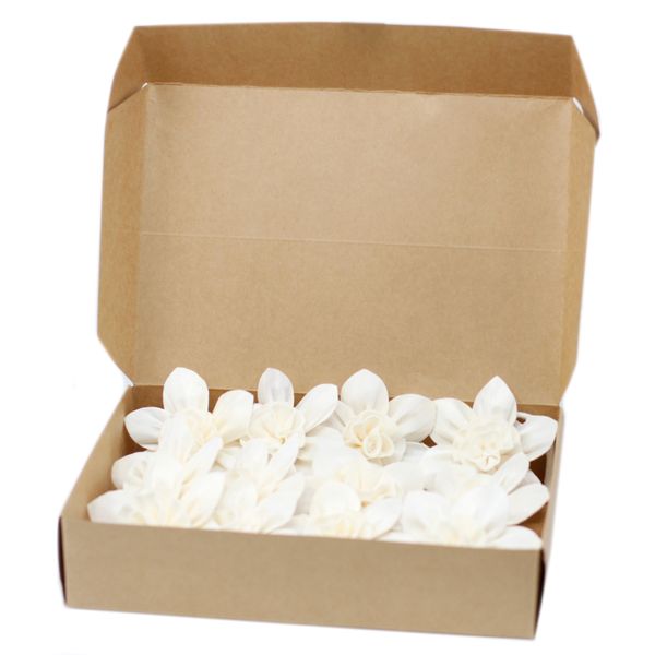 Natuurlijke Diffuser Bloemen - Large - Lelie aan Touw