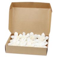 Natuurlijke Diffuser Bloemen - Large - Lelie aan Touw