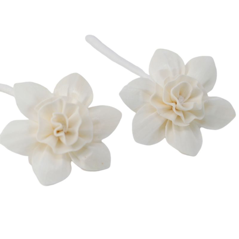 Natuurlijke Diffuser Bloemen - Large - Lelie aan Touw