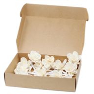 Natuurlijke Diffuser Bloemen - Small - Lelie aan Touw