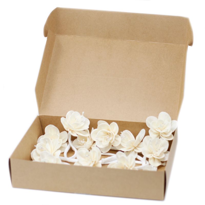 Natuurlijke Diffuser Bloemen - Small - Lelie aan Touw