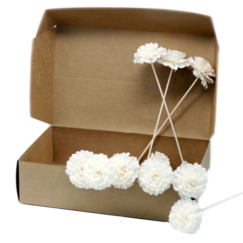 Natuurlijke Diffuser Bloemen - Anjer aan Rietstengel