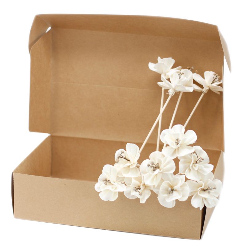 Natuurlijke Diffuser Bloemen - Lelie aan Rietstengel