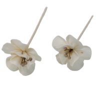Natuurlijke Diffuser Bloemen - Lelie aan Rietstengel
