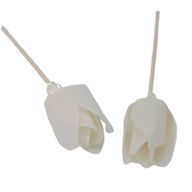 Natuurlijke Diffuser Bloemen - Tulp aan Rietstengel