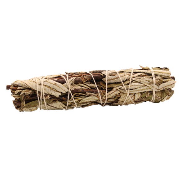 Smudge Stick/Bundel - Zwarte Salie - 15cm