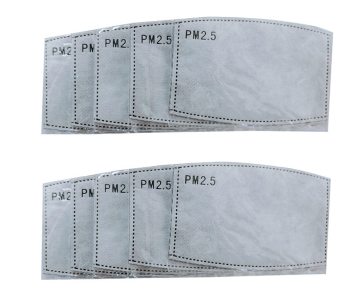 PM2.5 Filter voor Gezichtsmasker (Volwassen)