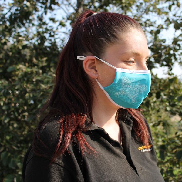 Herbruikbare Modieuse Gezichtsmaskers- Blauwe Vlinder (Volwassen)