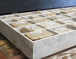 Rustieke Schors Nummers & Letters - Starter Display Box (40 x 12)