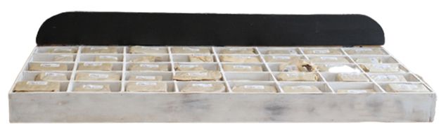 Rustieke Schors Nummers & Letters - Starter Display Box (40 x 12)