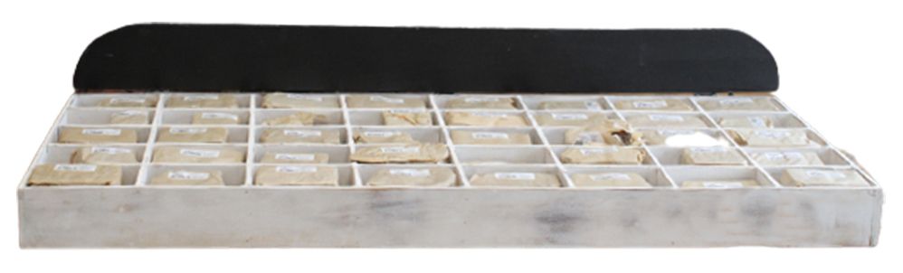 Rustieke Schors Nummers & Letters - Starter Display Box (40 x 12)