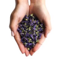 Kaasjeskruid Bloemen Heel Blauw (0.5kg)