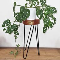 Albasia Houten Plantenstandaard - Rond - Whitewash