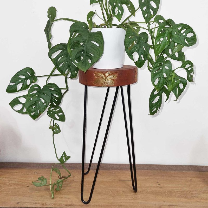 Albasia Houten Plantenstandaard - Rond - Whitewash