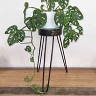 Albasia Houten Plantenstandaard - Rond - Turkoois met Goeden Detail