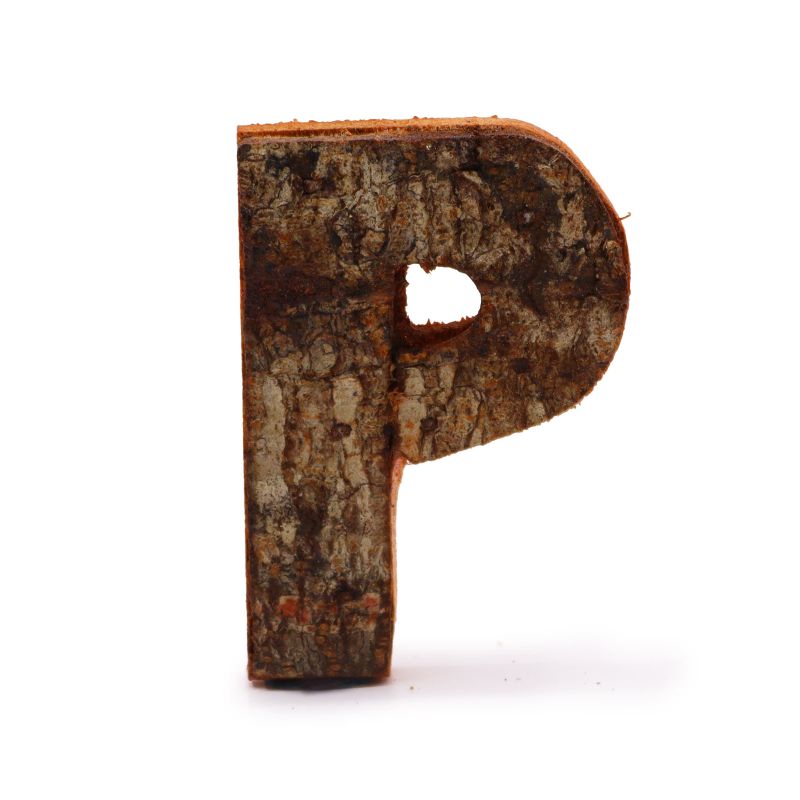 Rustieke Schors Letter - P- 7cm
