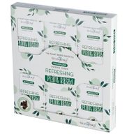 Plantaardige Backflow Wierookkegels -Verfrissend