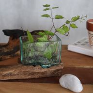 Gesmolten Glas op hout met standaard - Large Kom