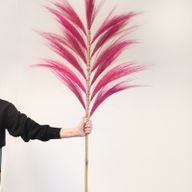 Rayung Gras Naturel - 1.6m