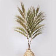 Rayung Gras Naturel - 1.6m