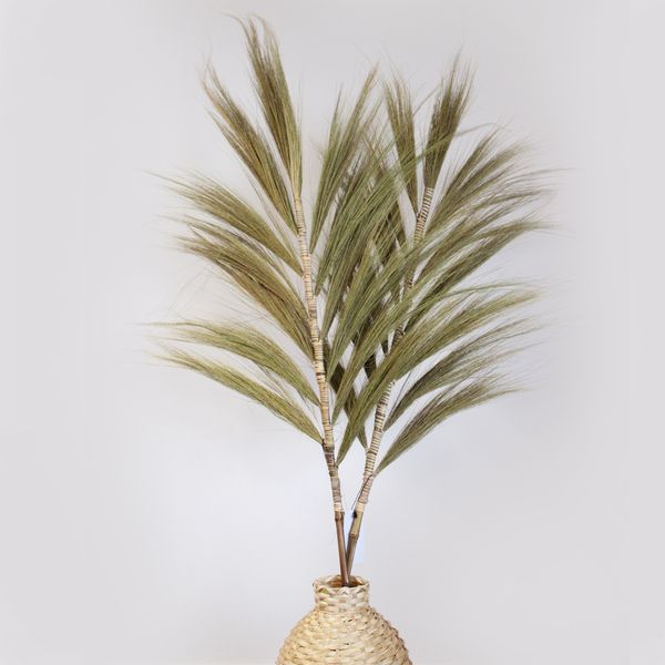 Rayung Gras Naturel - 1.6m