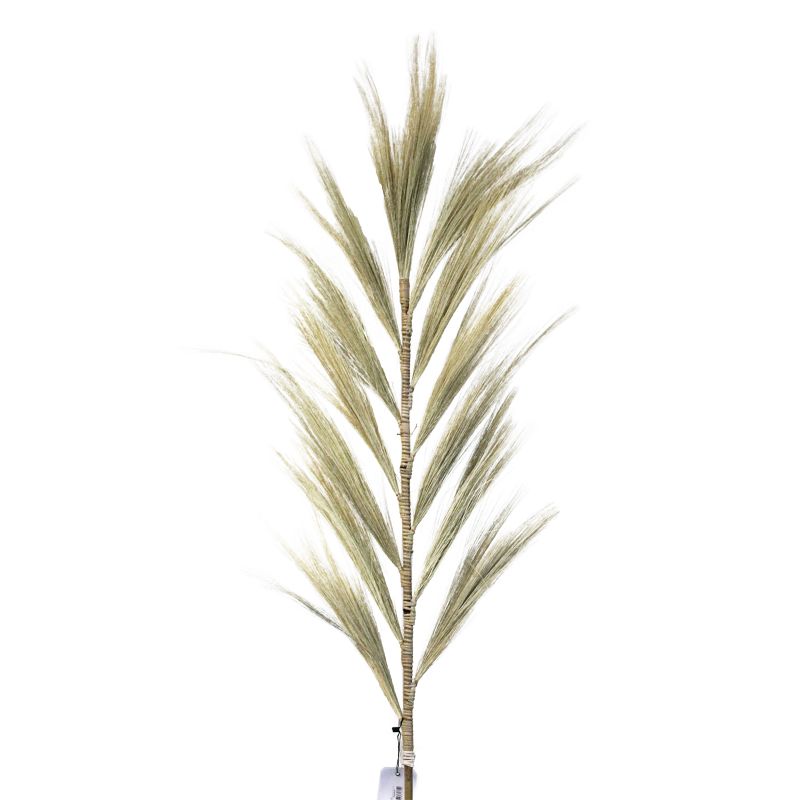 Rayung Gras Blond - 1.6m