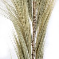 Rayung Gras Blond - 1.6m