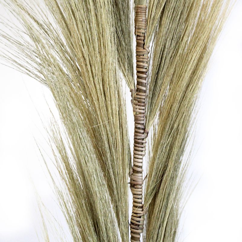 Rayung Gras Blond - 1.6m