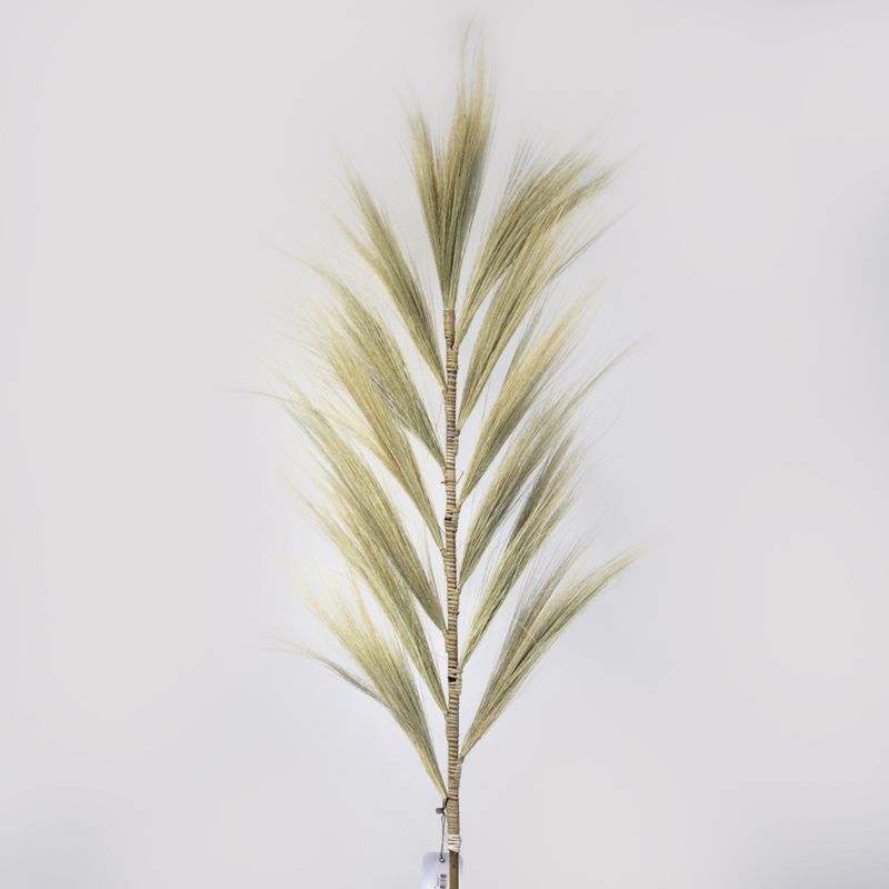 Rayung Gras Blond - 1.6m