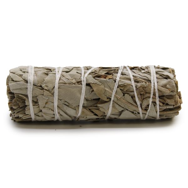 Smudge Stick - Witte Salie - 10cm
