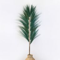 Rayung Grass Groen - 1.6m