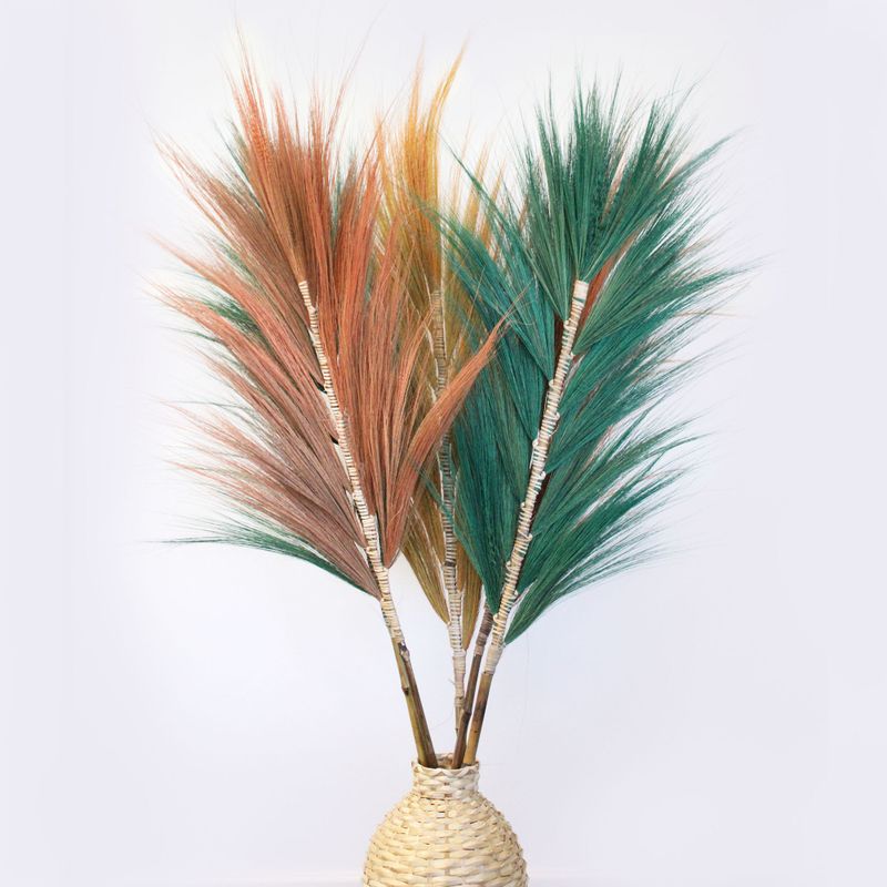 Rayung Gras Koraal - 1.6m