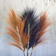 Rayung Gras Koraal - 1.6m