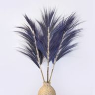 Rayung Gras Lavendel- 1.6m