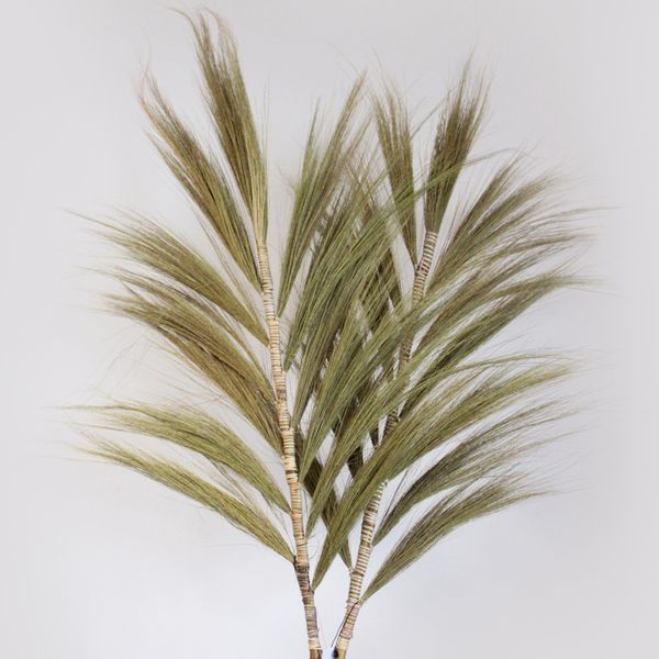 Rayung Gras Naturel - 2m