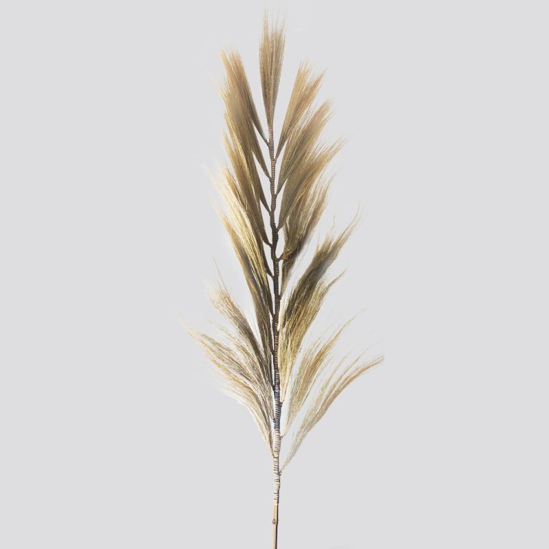 Rayung Gras Blond - 2m