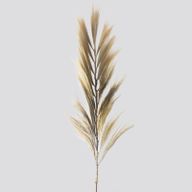 Rayung Gras Blond - 2m