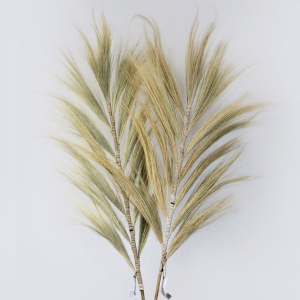 Rayung Gras Blond - 2m