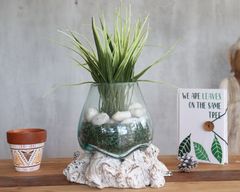 Gesmolten Glas op Whitewashed Stronk - Kleine Kom