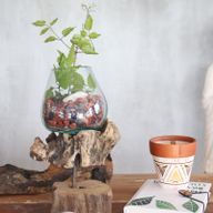Gesmolten Glas op hout met standaard - Medium Kom