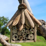 Driftwood Bijen- en Insectendoos