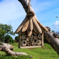 Driftwood Bijen- en Insectendoos