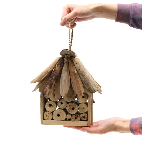 Driftwood Bijen- en Insectendoos