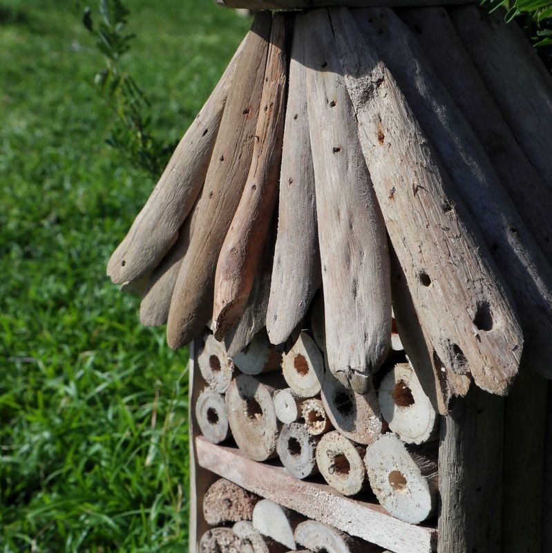 Driftwood Bijen- en Insect Hoogbouwen Huisje