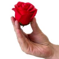 Zeep Bloemen Cadeau Set - 9 Rode Rozen - Vierkant