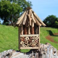 Driftwood Bijen- en Insectendoos - Dubbel