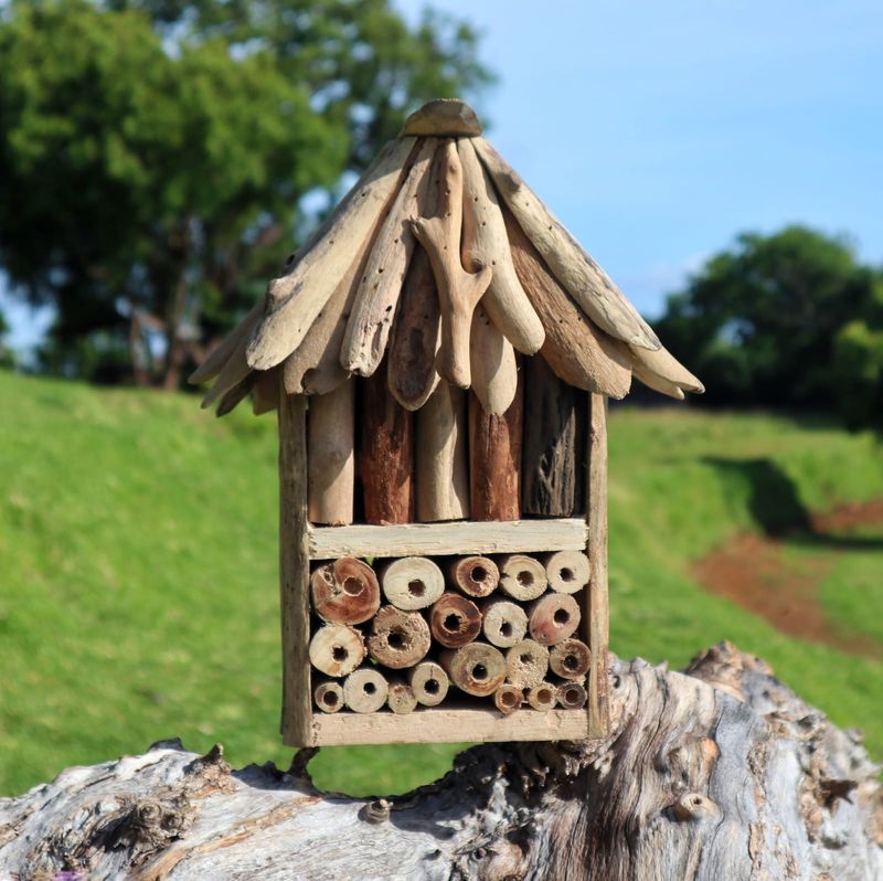 Driftwood Bijen- en Insectendoos - Dubbel